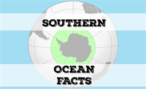 Southern Ocean Facts | The 7 Continents of the World