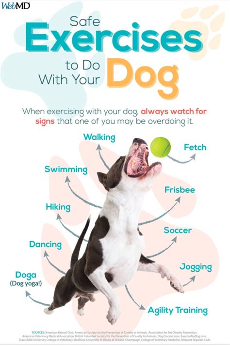 Exercising With Your Dog | Safe exercises, Dog exercise, Dog yoga