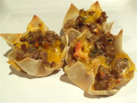 Italian Sausage Wonton Appetizer Recipe | How to Have it All