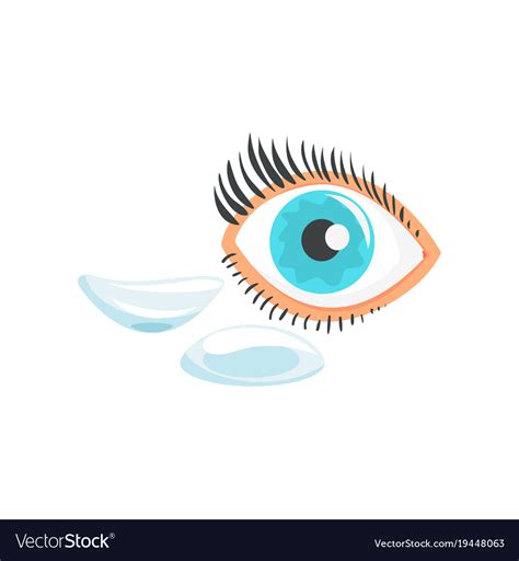 Human eye and two contact lenses cartoon Vector Image