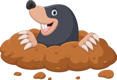 Whack A Mole Vector Art, Icons, and Graphics for Free Download