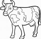 Free Cow Coloring Pages For Kids Coloring sketch template
