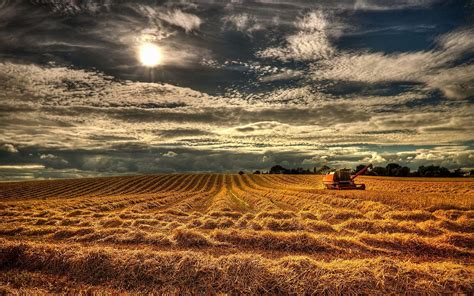 Harvest Wallpapers - Top Free Harvest Backgrounds - WallpaperAccess