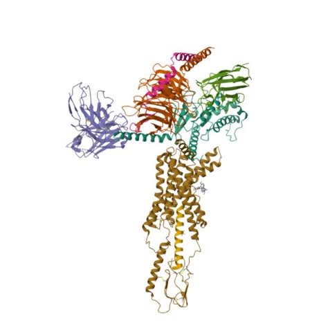 RCSB PDB - 7RBT: cryo-EM structure of human Gastric inhibitory ...