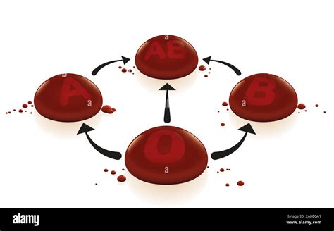 Blood types with blood group 0 as universal donor and AB as universal ...