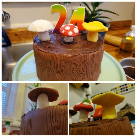 Made a mushroom cake for my fiance's birthday, pretty happy with how it ...