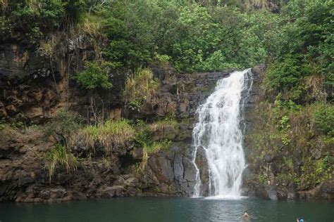 7 Best Hawaii Waterfalls to Visit | Hawaii Travel with Kids (2023)