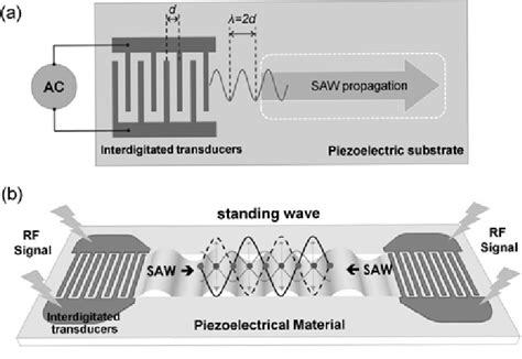 Surface acoustic wave microfluidic device. (a) Single surface acoustic... | Download Scientific ...