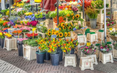 Edinburgh Flower Market Opening Hours | Best Flower Site