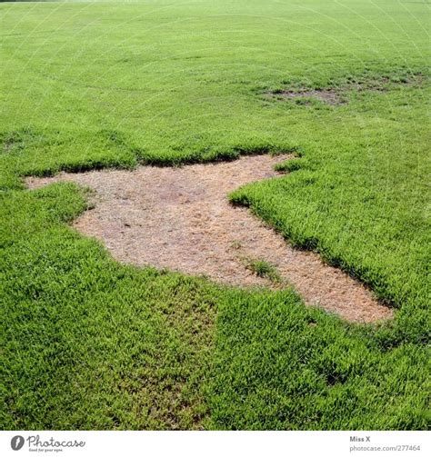 grass stain Football pitch - a Royalty Free Stock Photo from Photocase