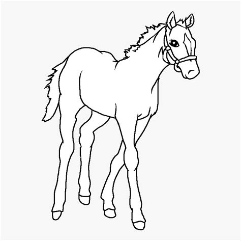 Pictures Of Horse Drawings - Easy Baby Horse Drawing , Free Transparent Clipart - ClipartKey