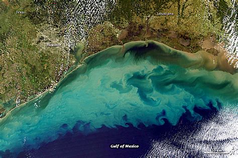 The 'dead zone' of the Gulf of Mexico is approaching a record level