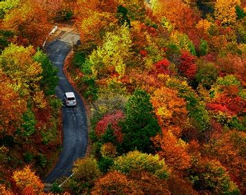 Best Scenic Drives for Fall Color | Firestone Complete Auto Care