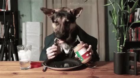 Dog Human GIF - Peanut Butter Dog Lick - Discover & Share GIFs