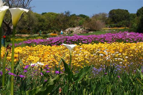 Kirstenbosch Botanical Gardens - Cape Town, South Africa