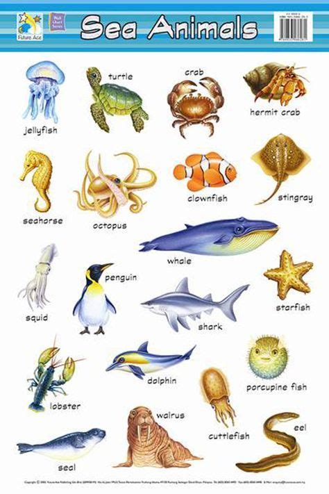 sea animal vocabulary - Google 搜尋 | Animal vocabulary, Vocabulary, Learn english