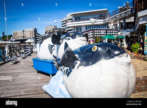 Shimonoseki, Yamaguchi / JAPAN - Aug 14 2020 : Fugu puffer fish monuments & Kamon Wharf in sunny ...