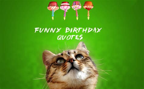 80 Funny Birthday Quotes – Funny Ways To Say Happy Birthday ...