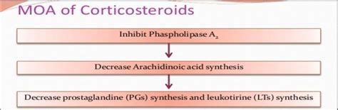 Mechanism action of corticosteroids drugs | Download Scientific Diagram