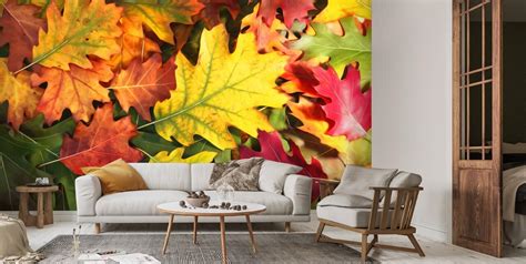 Colourful Autumn Oak Leaves Wallpaper | Wallsauce EU