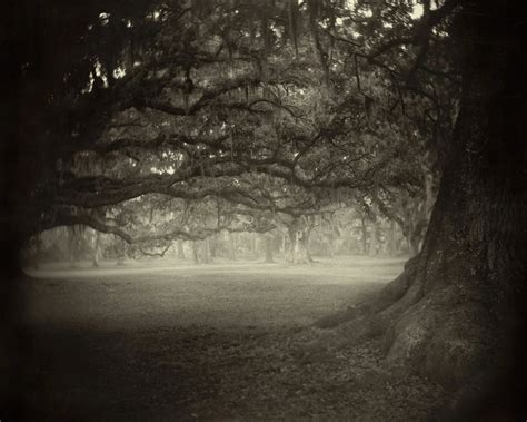 Sally Mann: Intimate and Evocative Fine Art Photography — about photography