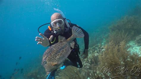 Earning my Diving Certificate in Bonaire | Mr. Scott Eddy