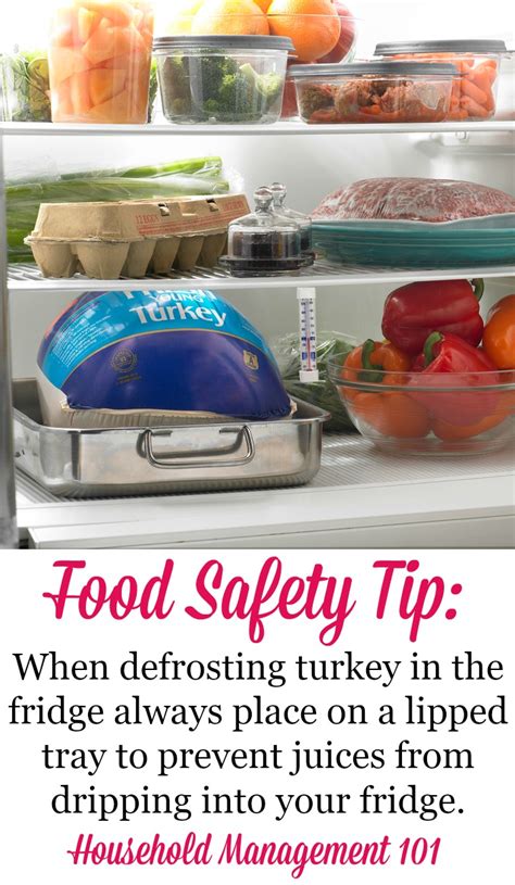 How To Defrost Turkey - Make Sure You Start Soon Enough For Thanksgiving Day