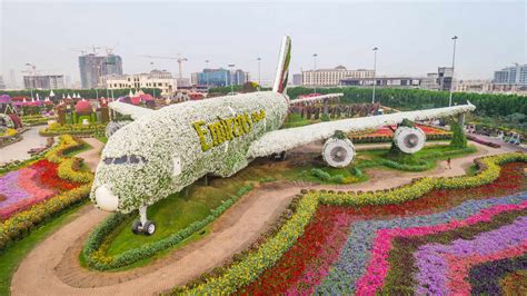 Aerial view of The unusual colorful Dubai Miracle Garden, United Arab Emirates. - AAEF02267 ...