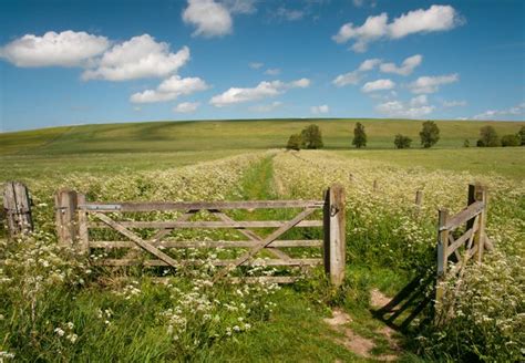 pagewoman: “Wiltshire Countryside, England. ” | Countryside, Country landscaping, Wiltshire