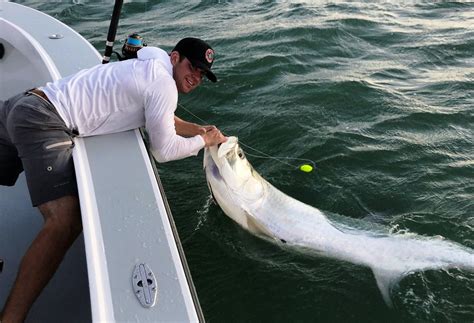 Tarpon Season (April - June) - Blue Line Fishing Charters, LLC