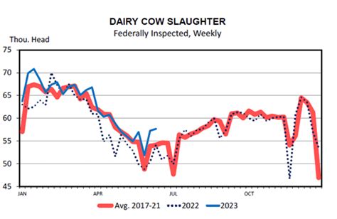 Dairy Cow Slaughter Is Up 2 Percent Year To Date • Northwest Iowa Dairy Outlook • Iowa State ...