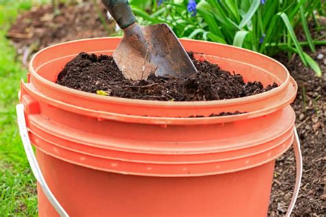 Potato Fertilizer » Top Tips on What to Use