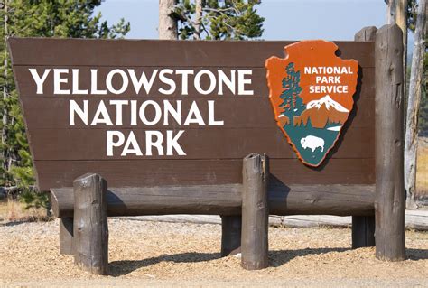 Connecticut woman sentenced for walking on thermal area in Yellowstone National Park - County 10