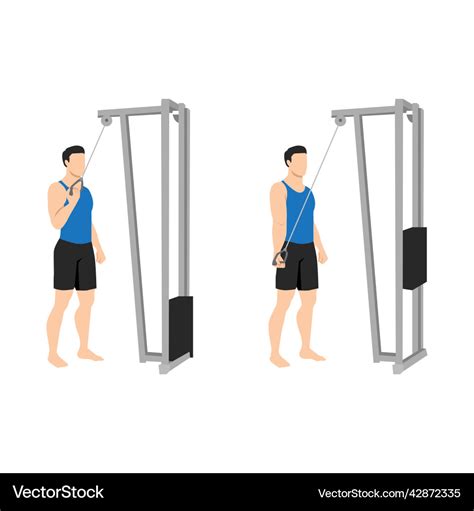 Man doing single arm cable triceps extension Vector Image