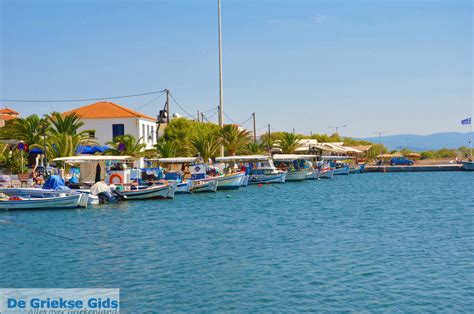 Skala Kallonis Lesbos | Holidays in Skala Kallonis Greece