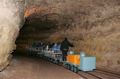 Il y a 60 ans, la découverte scientifique des dessins de la grotte de Rouffignac - Sud Ouest.fr