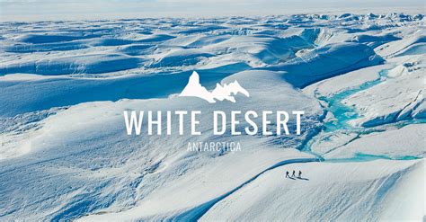 White Desert | 2024 - 2025 — White Desert