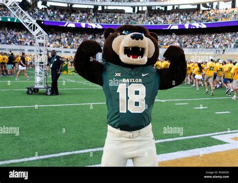 Baylor bears mascot hi-res stock photography and images - Alamy