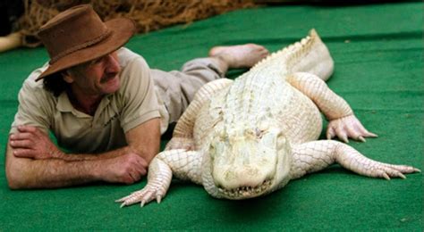 15 Rare And Unique Albino Animals - Unbelievable Facts