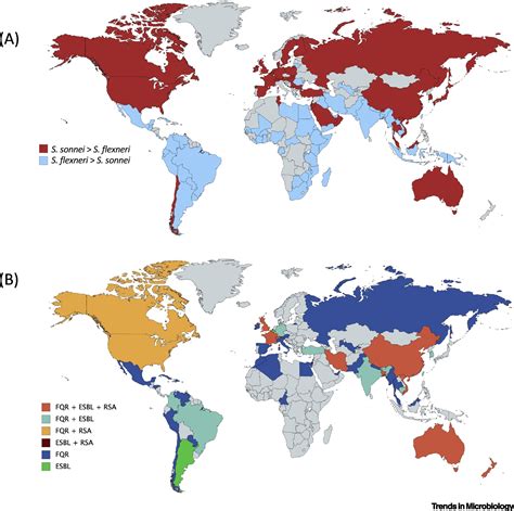 Shigella sonnei: Trends in Microbiology