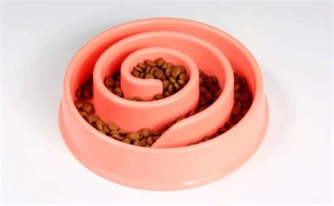 Best Slow Feeder Dog Bowl: Puzzle Feeder, Ball & More - Petsynse