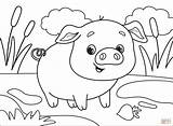 Pig coloring page  Free Printable Coloring Pages sketch template