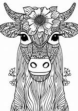 Animal Coloring Pages For Adults  Page Bulldog Rhino Pug sketch template