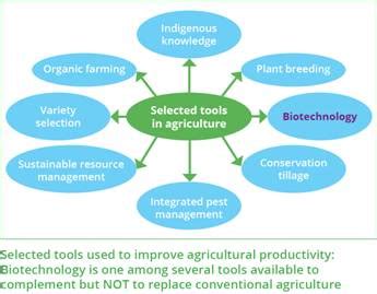 Applications Of Biotechnology In Food Industry