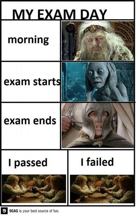 Exam week | Exam day, Exams memes, Funny pictures