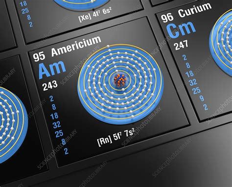 Americium, atomic structure - Stock Image - C045/6443 - Science Photo ...