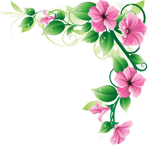 Flowers Borders PNG Image | PNG All