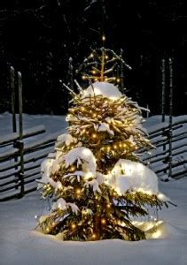 Swedish Christmas Facts for Kids (All You Need to Know!)