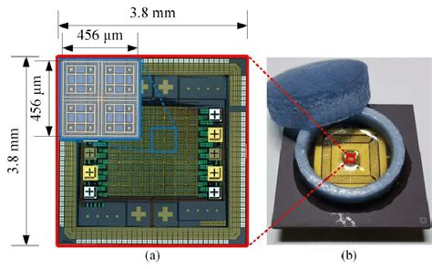 (a) An optical micrograph of the post-processed CMOS chip with a detail ...