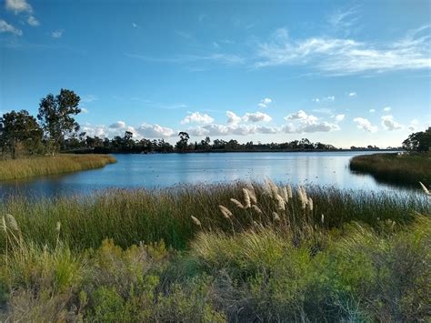 Lake Miramar Hiking Trail Guide | The Simple Hiker